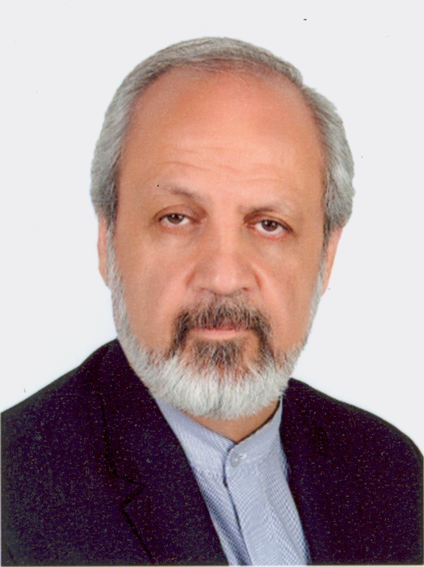 Mohammad Hossein  Nicknam