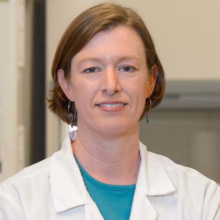 Anne C. Stone