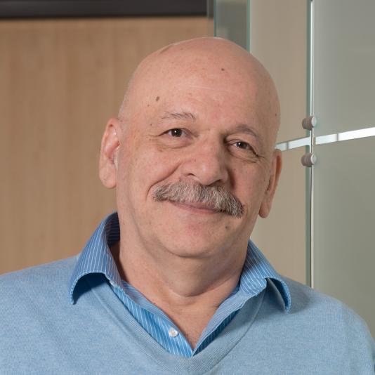 Mohsen Naghavi