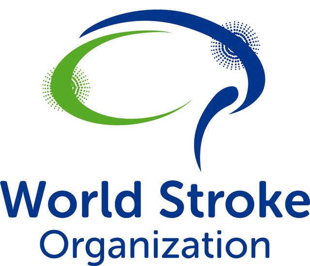 World Stroke Organization (WSO)