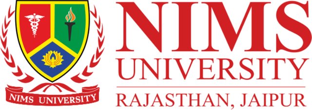 NIMS University